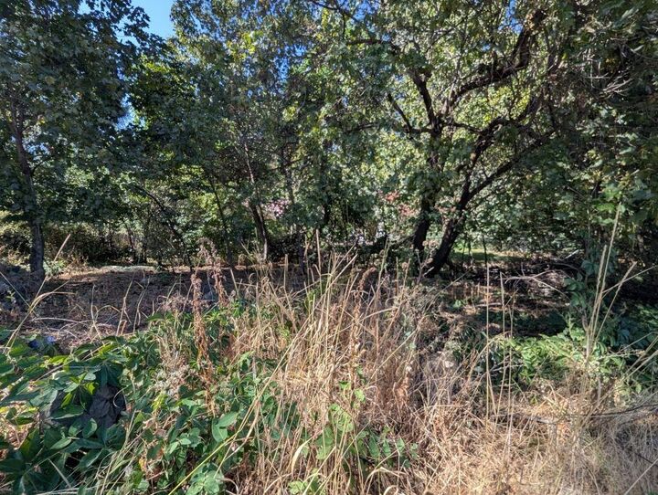 Property Photo: 962 S Arthur St WA 99002