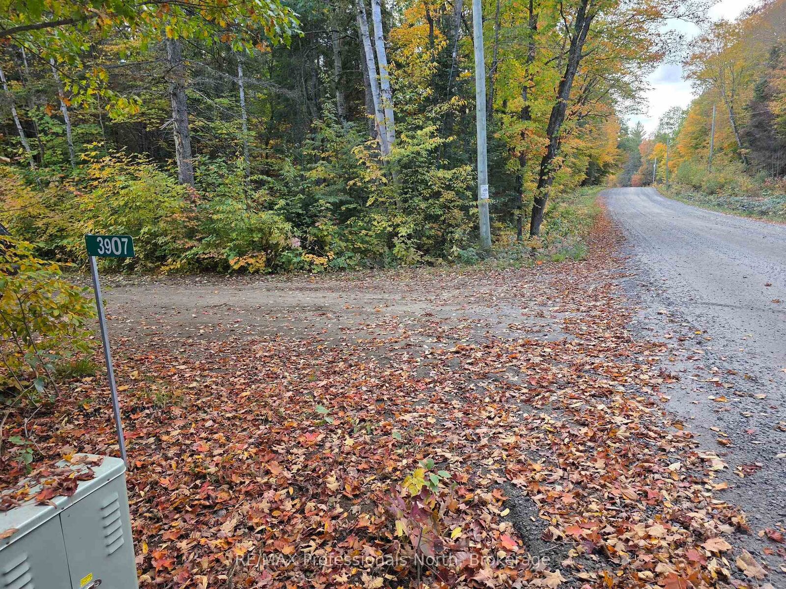 Property Photo:  3907 Stisted Road  ON P0A 1Y0 