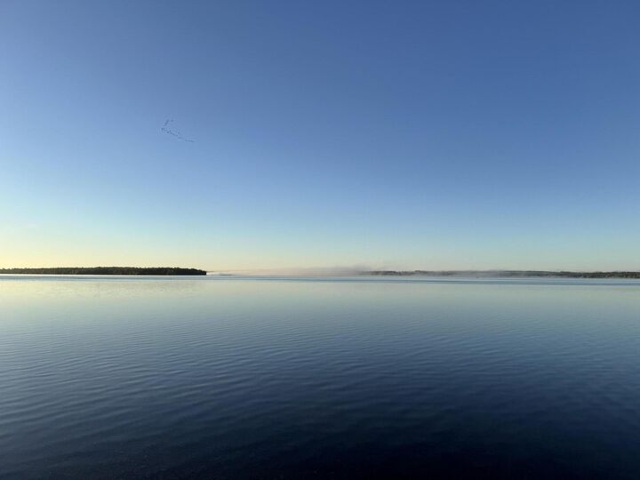 Property Photo: 8008 Paradise Trail MI 49718