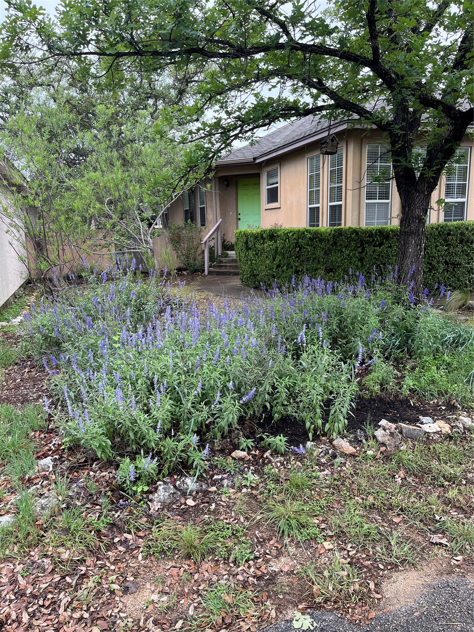 Property Photo:  16 E Villa Meadow Street  TX 78676 