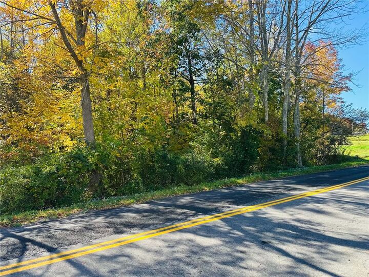 Property Photo:  County Highway 3A  NY 13849 
