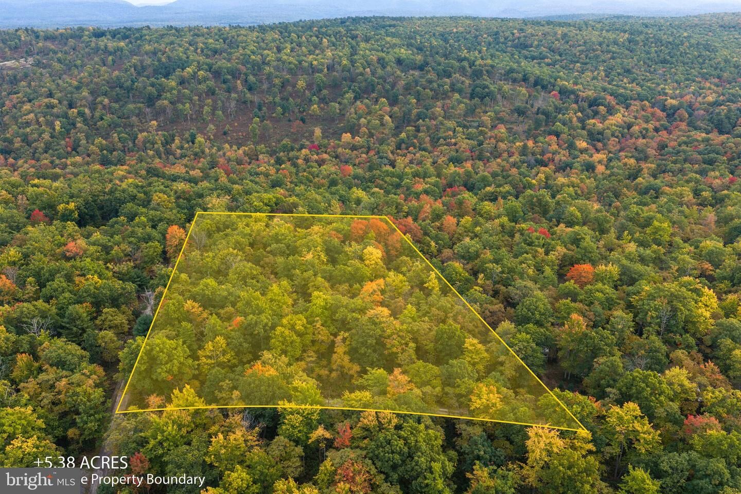 Property Photo:  0 Spring Lick Trail  PA 16822 