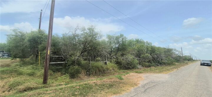 Property Photo:  4886 County Rd 28  TX 78380 