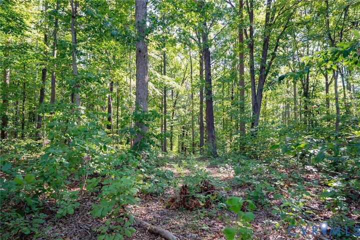 Property Photo:  00 Mountain Hall Road  VA 23930 
