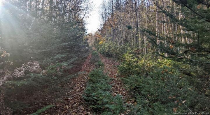 Property Photo:  - Old Great Road  NB E4H 3J6 