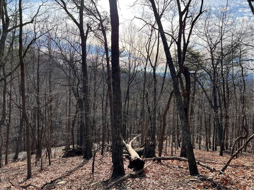 Property Photo: 4528 Sassafras Mountain Trail GA 30143