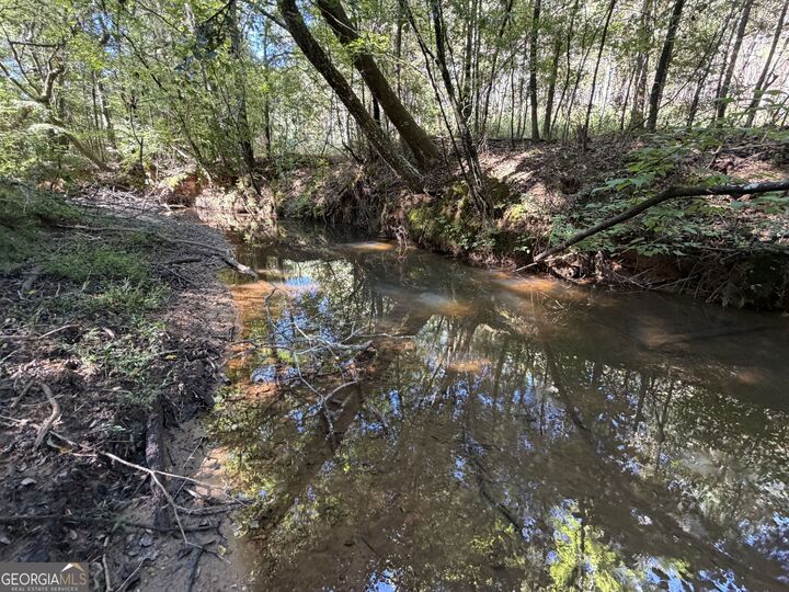 Property Photo:  00 Old Tennessee Road 2  GA 30217 
