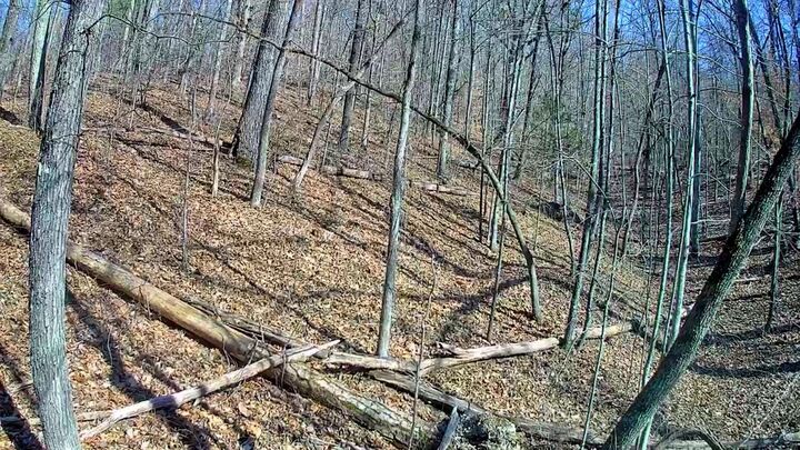 Property Photo:  0 Northwoods Lane  GA 30752 