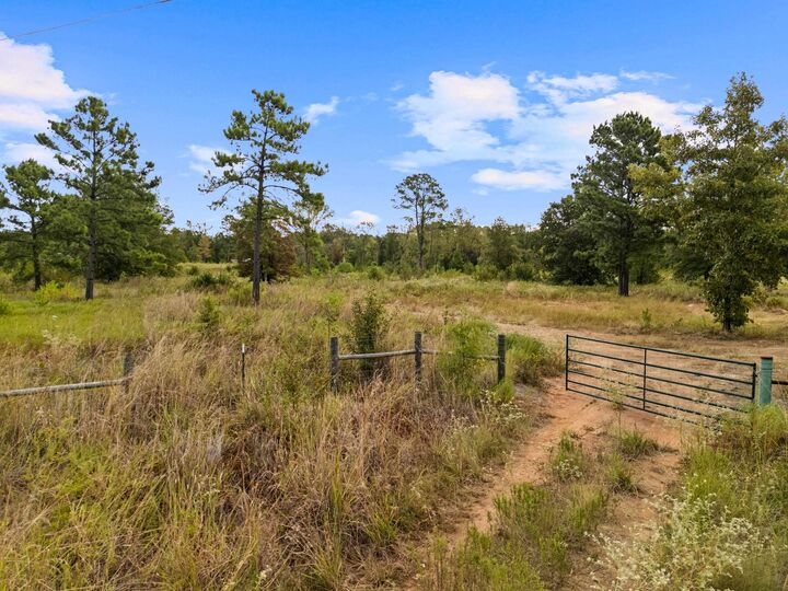 Property Photo: 956 Watson Rd. TX 75662