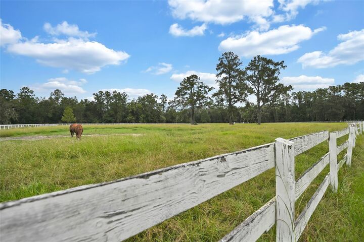 Property Photo: 19566 NW 123rd Court FL 32667