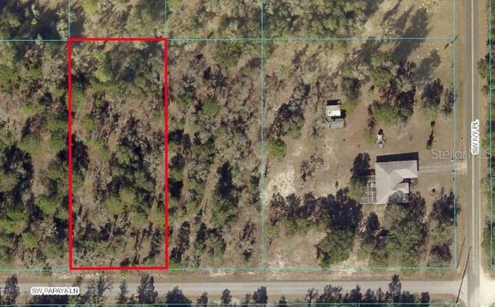 Property Photo:  Tbd SW Papaya Lane  FL 34431 