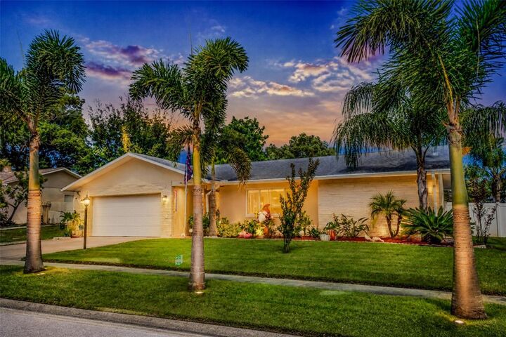 Property Photo: 161 Sunward Avenue FL 34684