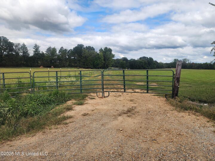Property Photo: 58 Rowell Road MS 38618