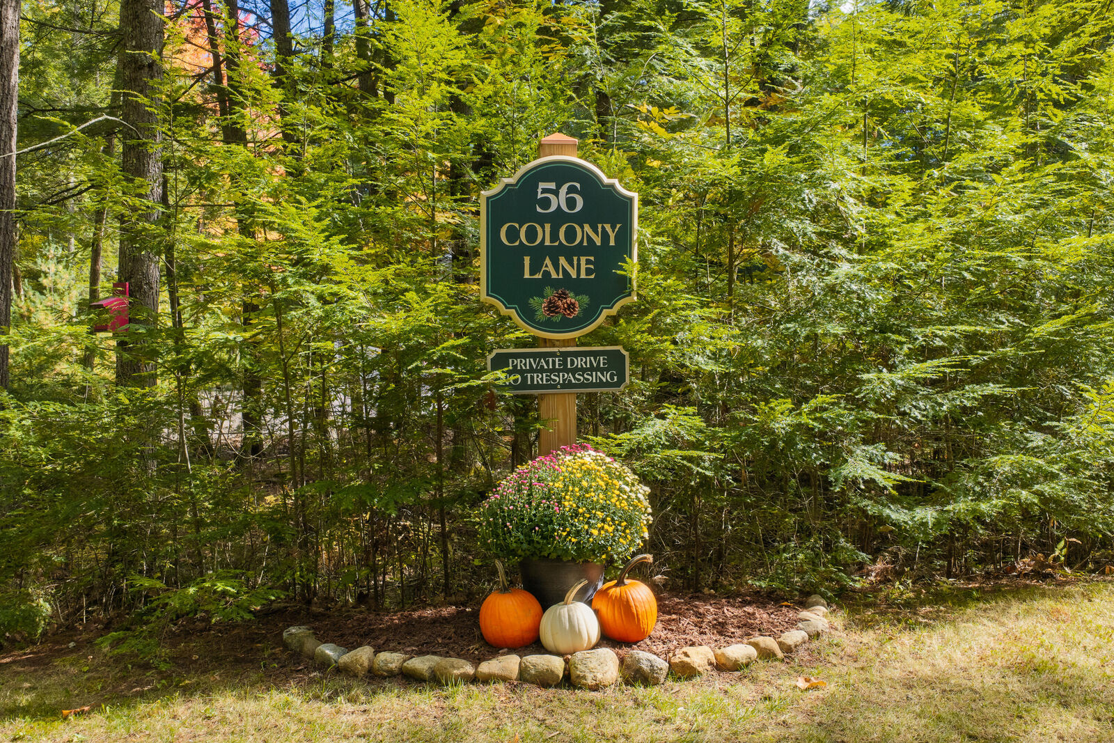 Property Photo:  56 Colony Lane  ME 04055 