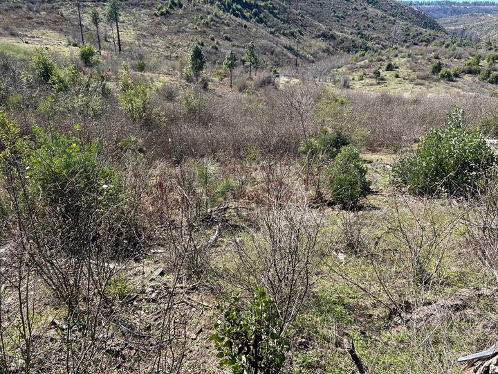 Property Photo:  1234 Hog Ranch Road  CA 95969 