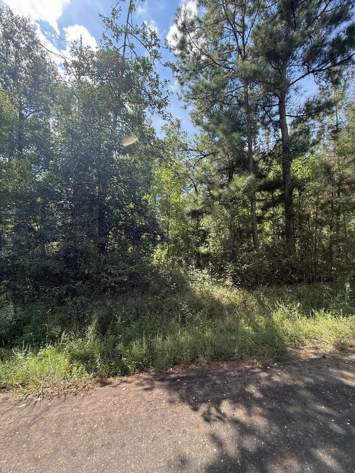 Property Photo:  R32312 Sandy Creek Road  TX 75980 
