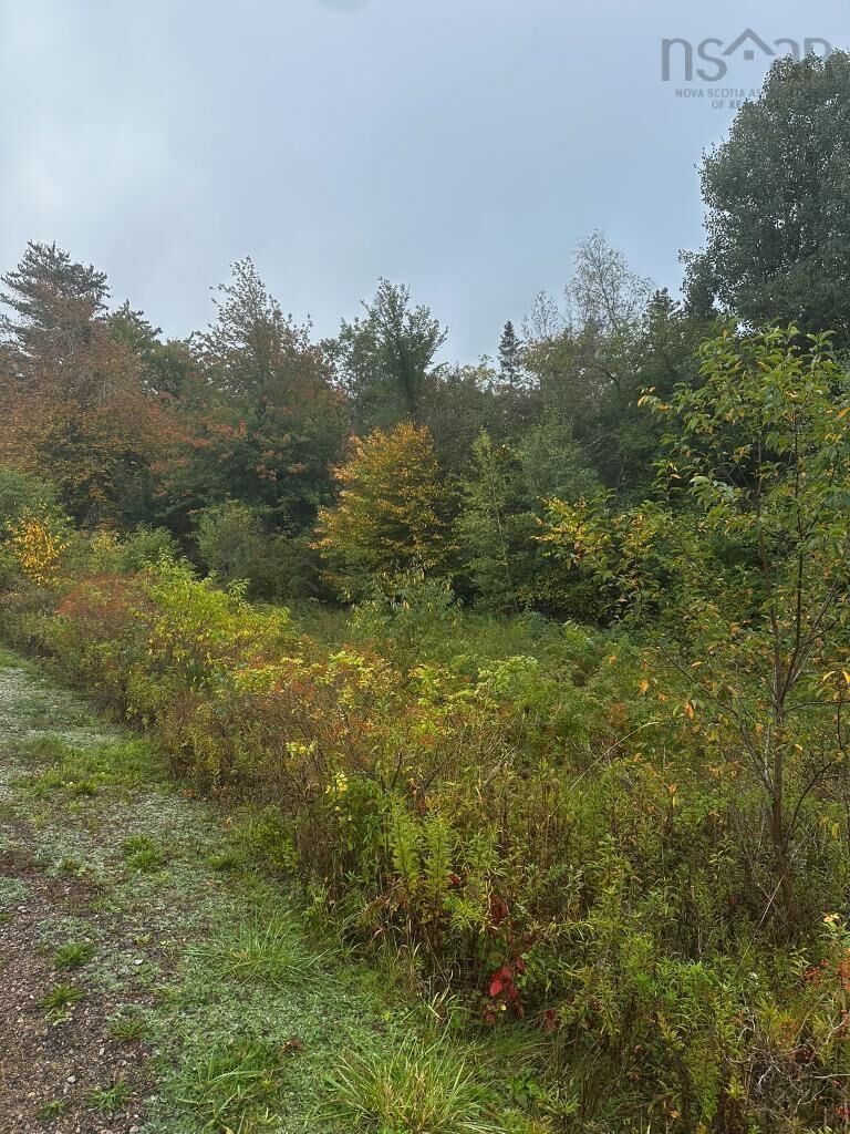 Property Photo:  Lot Huntington Point Road  NS B0P 1J0 