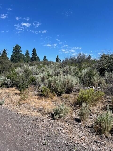 Property Photo:  Wrightwood Lot 17  OR 97624 