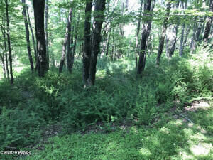 Property Photo:  111 Koch Road  PA 18464 