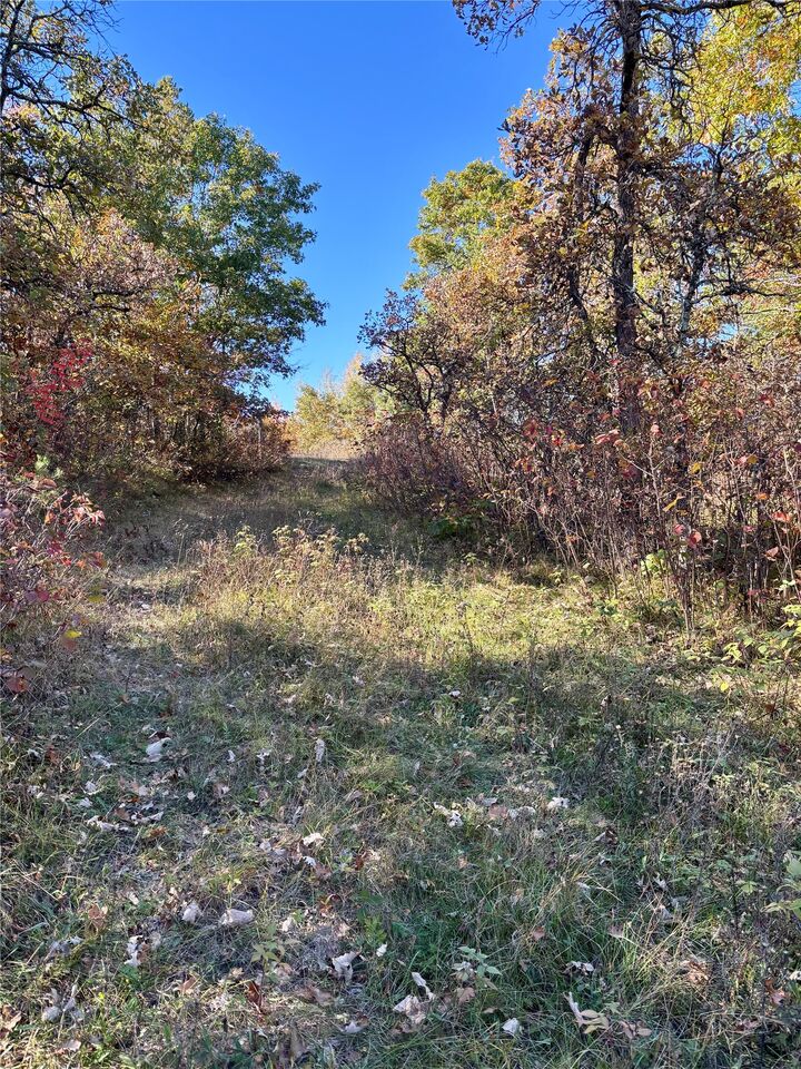 Property Photo: 9524 E Bergin Springs Road WI 54873