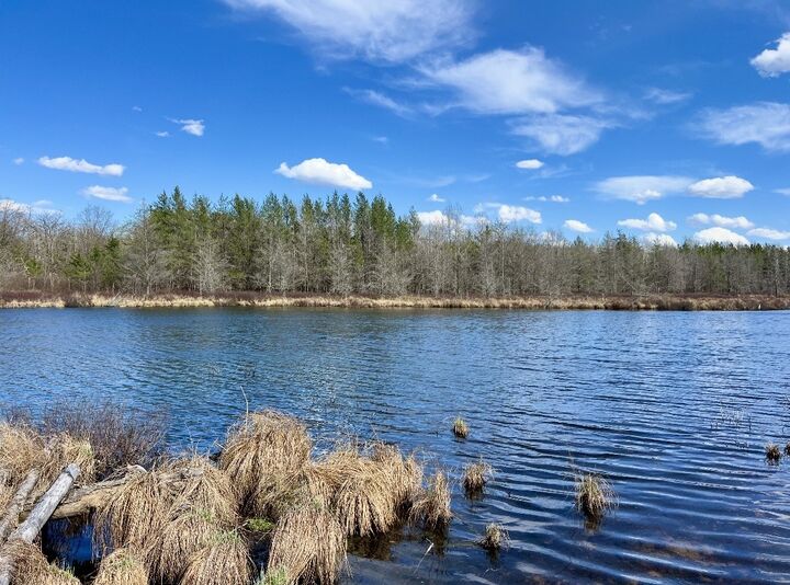 Property Photo:  9524 E Bergen Springs Road  WI 54873 