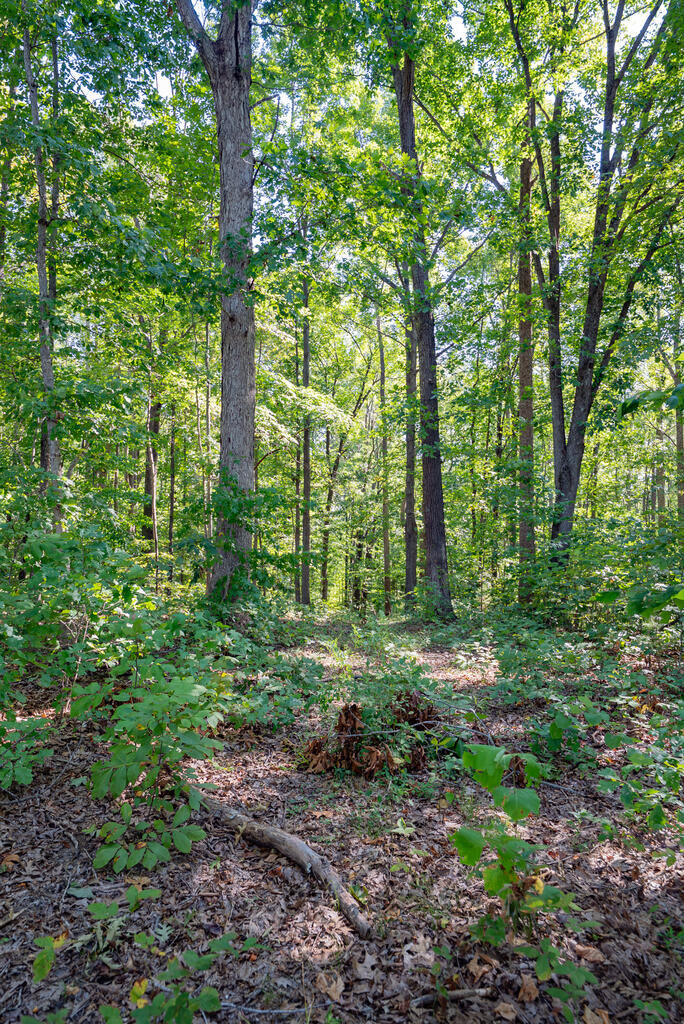 Property Photo:  00 Mountain Hall  VA 23930 