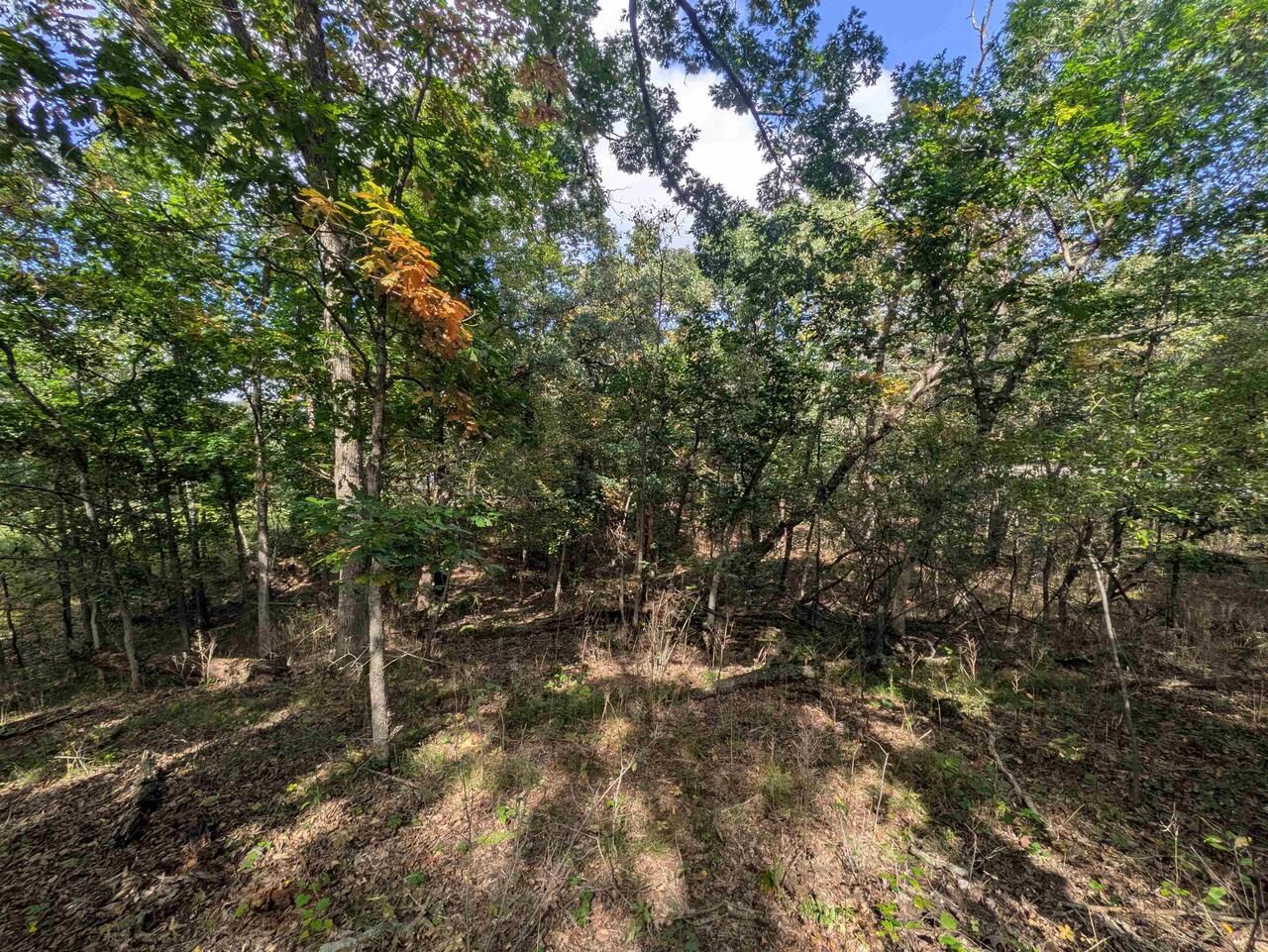 Property Photo:  0 Ember Court  WI 53952 