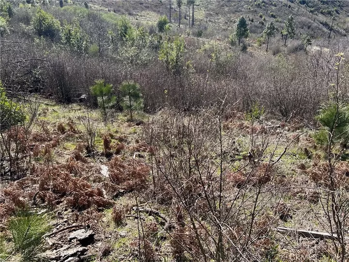 Property Photo:  1234 Hog Ranch Rd  CA 95965 