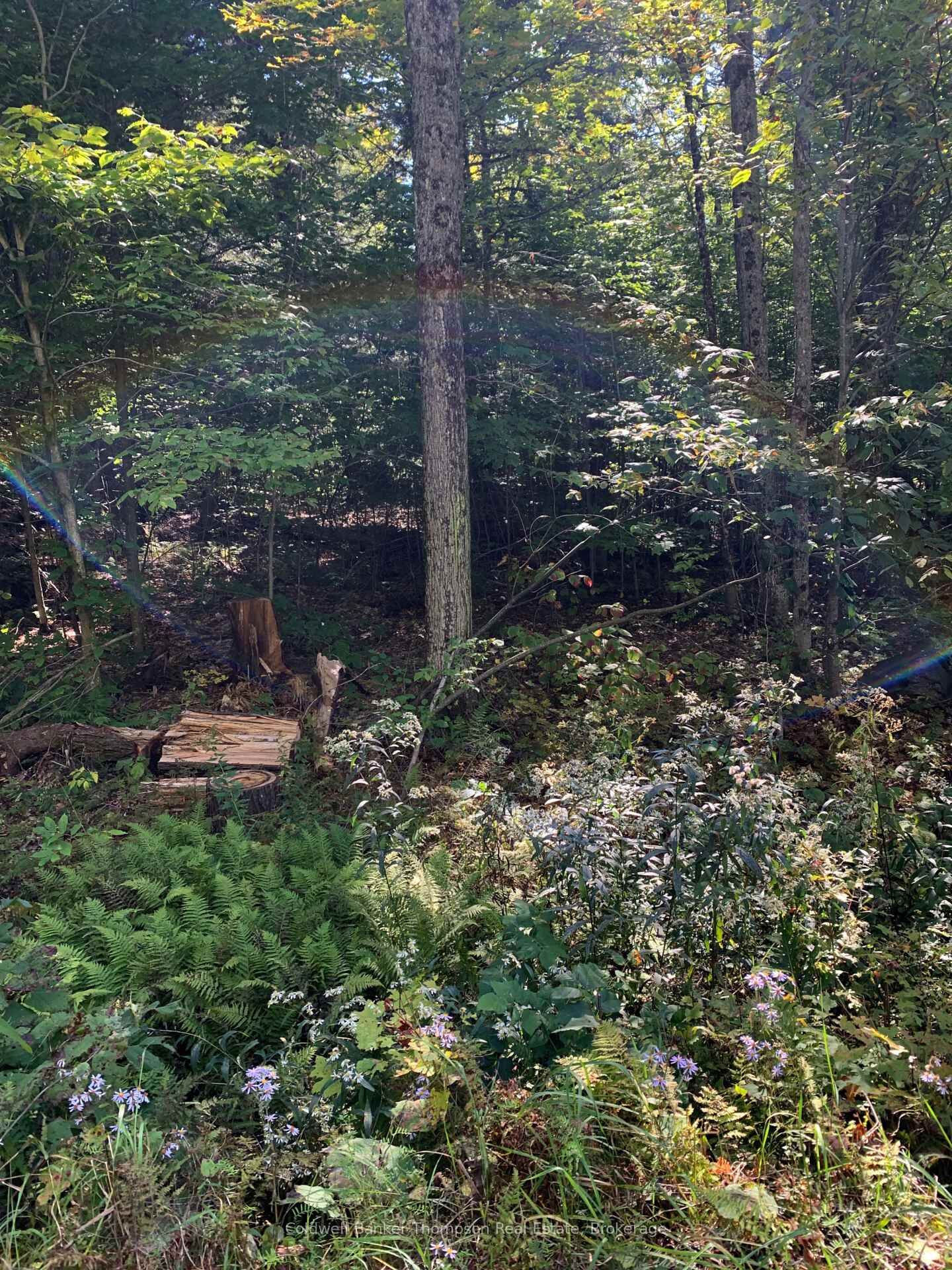 Property Photo:  00 Ahmic Lake Road  ON P0A 1P0 
