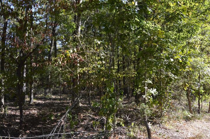 Property Photo:  00 Kelley  AR 72002 