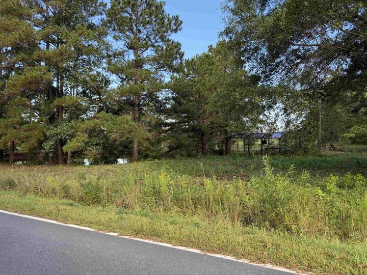 Property Photo:  Tract 3 Wise Rd.  SC 29526 