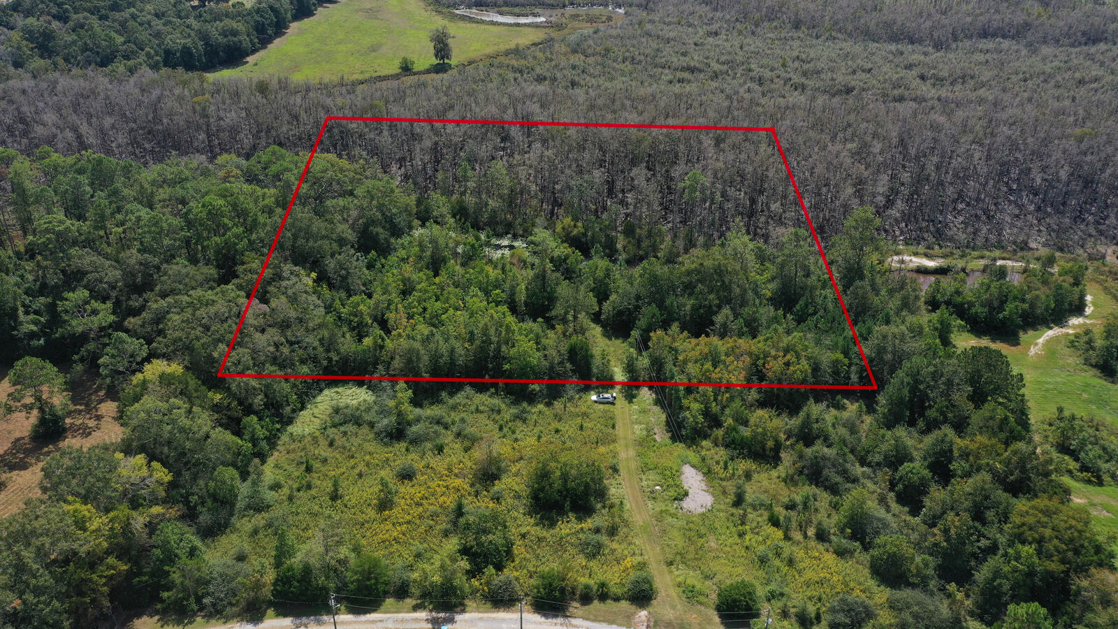 Property Photo: 0000 Windy Lewis Road FL 32425