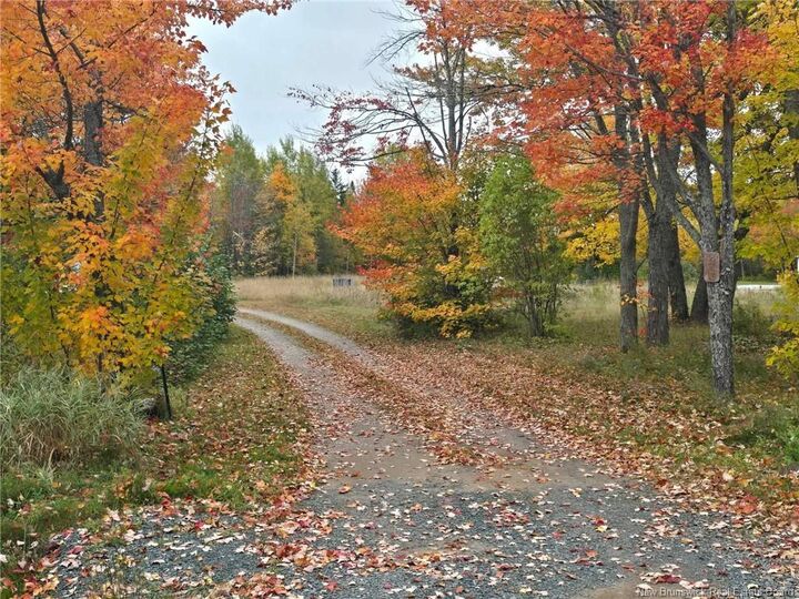 Property Photo:  275 Chamberlain Settlement  NB E2A 6G9 