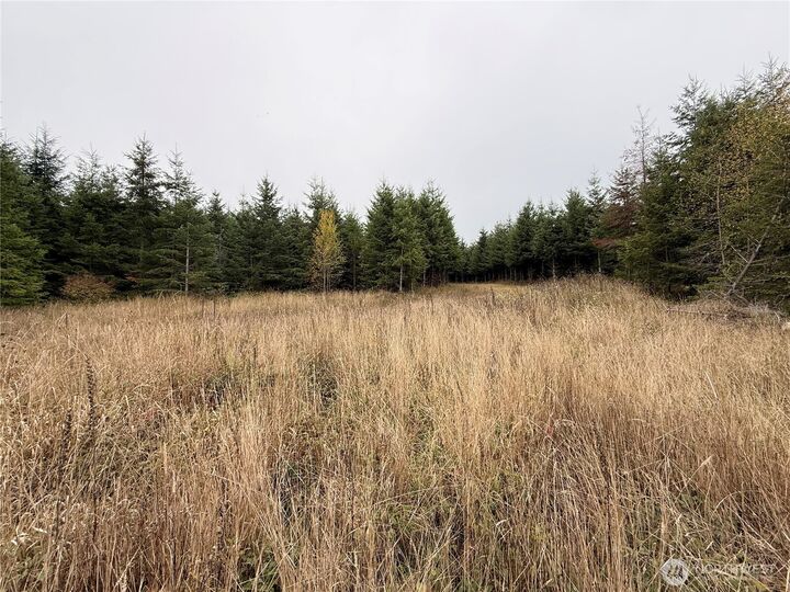 Property Photo: 19 Xx Bunker Creek Road WA 98532