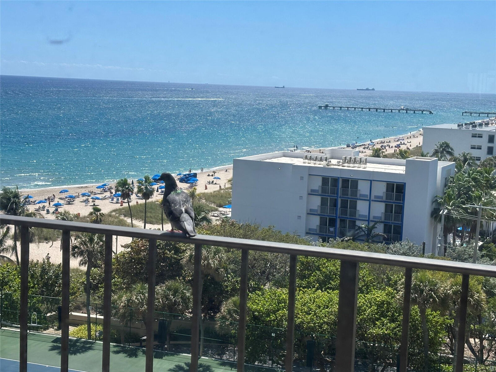 Property Photo: 4900 N Ocean Boulevard 1003 FL 33308