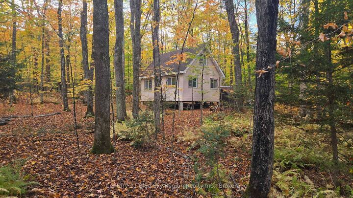 Property Photo: 390 Wolfe Lake Road ON P0H 1Z0