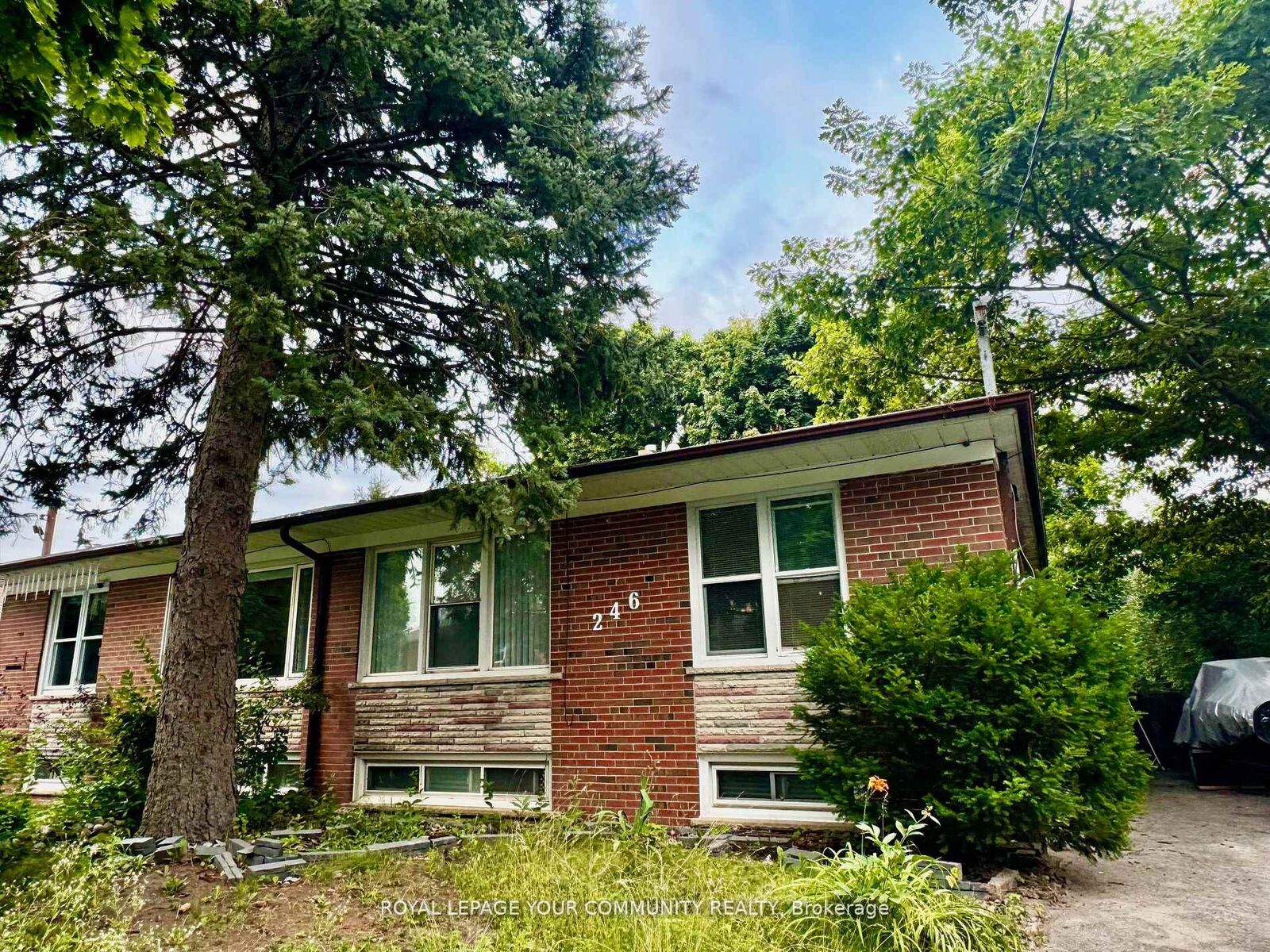 Property Photo:  246 Elka Drive Apt A  ON L4C 3A3 