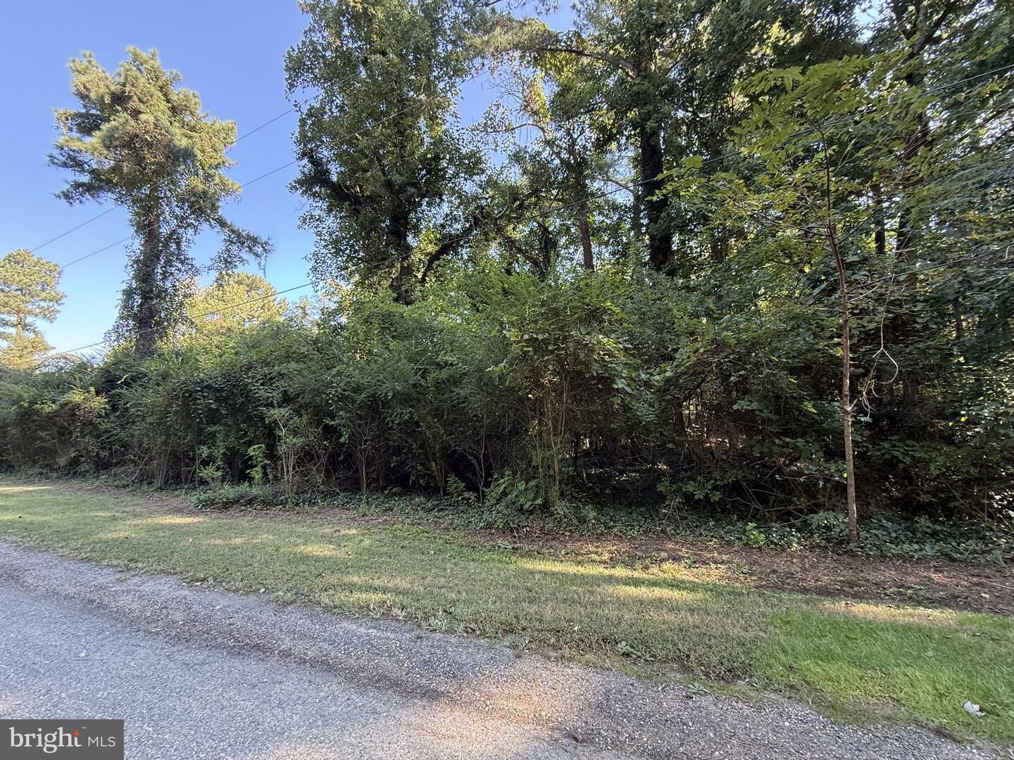 Property Photo:  Lake Drive Leonardtown  MD 20692 