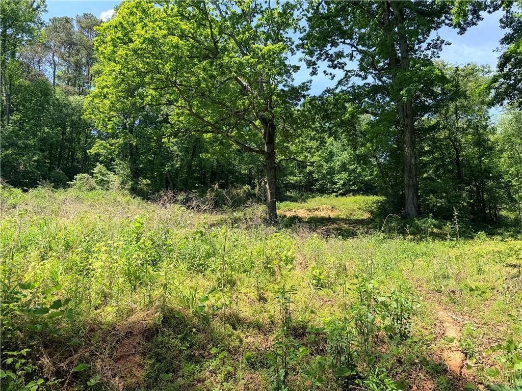 Property Photo: 0 Old Hwy 5 S GA 30540