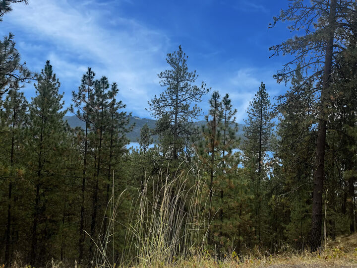 Property Photo:  1708 Northport Flat Creek Rd  WA 99141 
