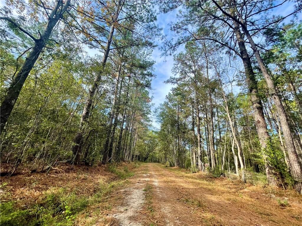 Property Photo:  37285 Dummyline Road  LA 70452 