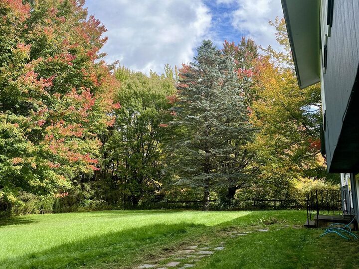 Property Photo:  376 Mountain View Road  VT 05495 