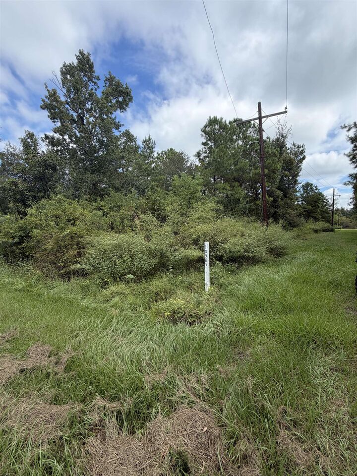 Property Photo:  10585 Dogwood Dr.  TX 77705 