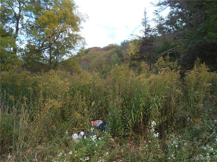 Property Photo:  10628 Route 16  NY 14042 