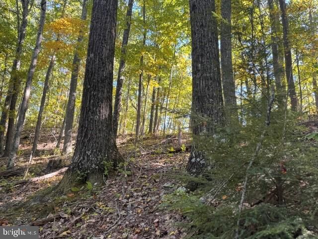 Property Photo:  Channell Road  WV 26280 