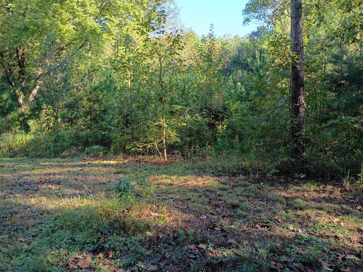 Property Photo:  780 Maple Grove Church Road  GA 30705 