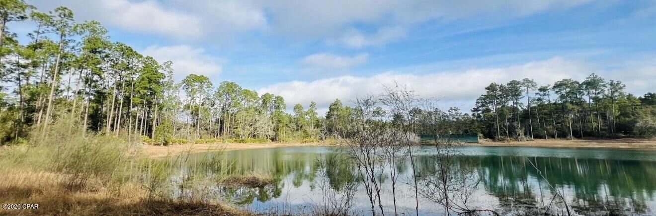 Property Photo:  215 White Oaks Boulevard  FL 32409 