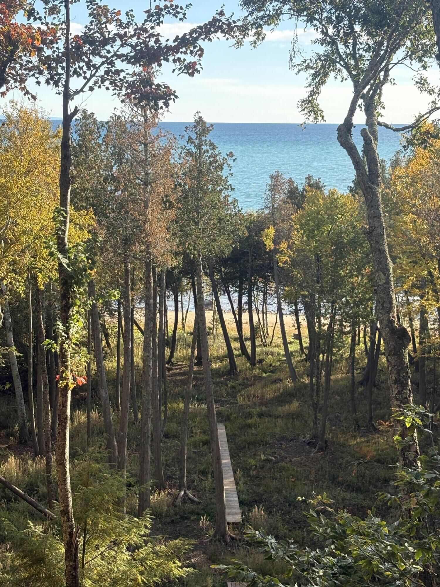 Property Photo:  4429 Wildwood Ln  MI 49760 