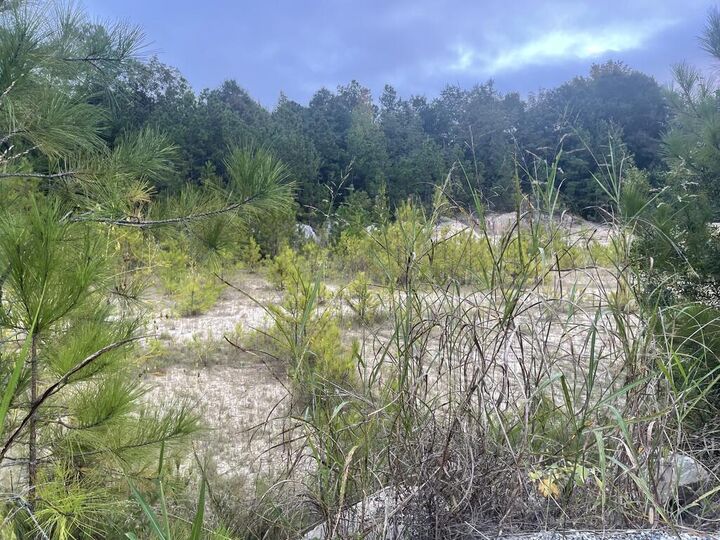 Property Photo:  6007 Gleneden Drive  GA 31907 