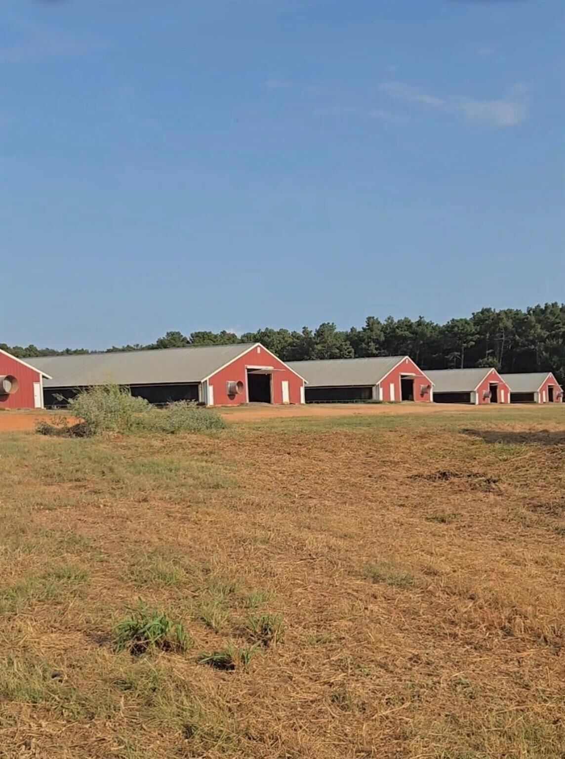 Property Photo: 2094 County Road 848 TX 75760
